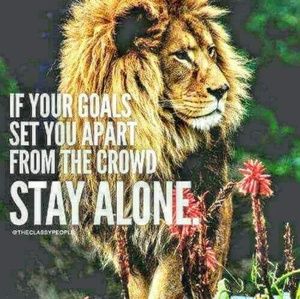 Meet your Posher, Steven